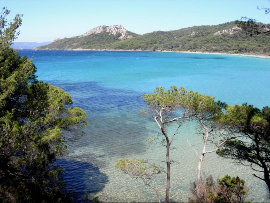 Superbe T2 Proche Des Plages Et Des Commerces イエール エクステリア 写真